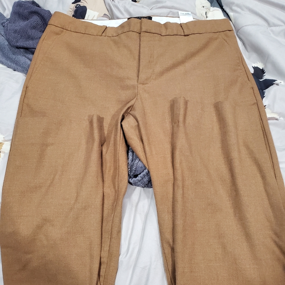 Banana Republic Reagan bottoms size 10
